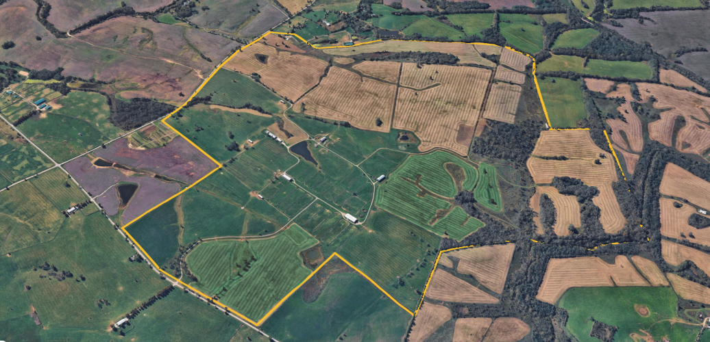 Listing Image 2