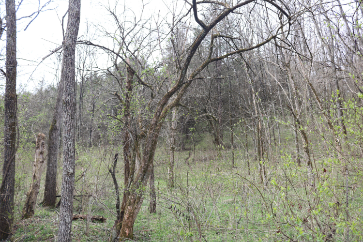 Listing Image 15