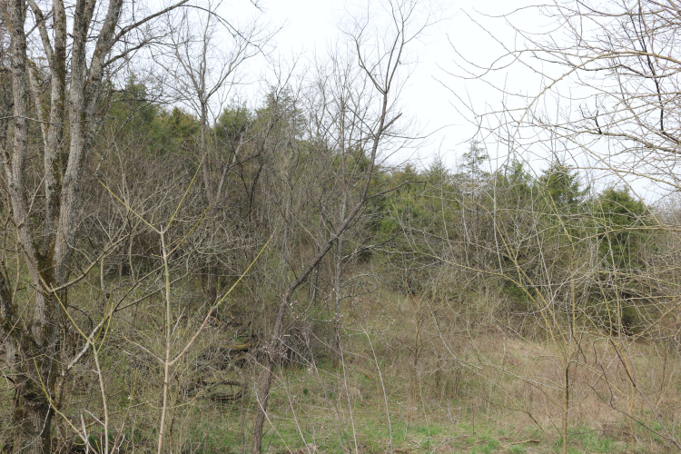 Listing Image 16