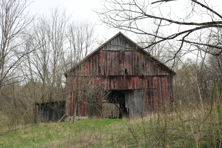 Listing Image 17