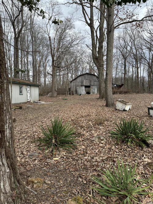 Listing Image 5