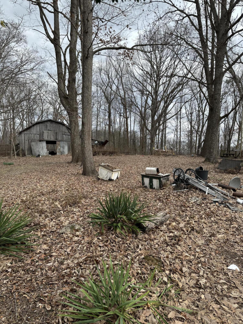 Listing Image 6