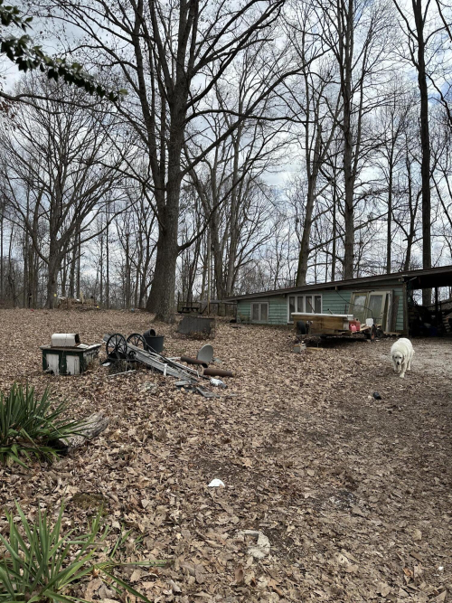 Listing Image 10