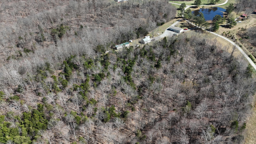 Listing Image 65