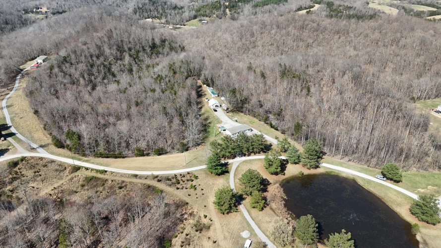 Listing Image 82