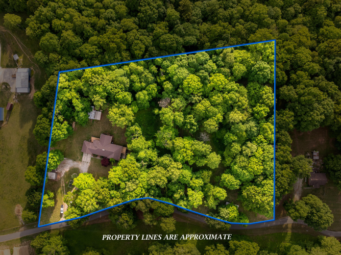Listing Image 69