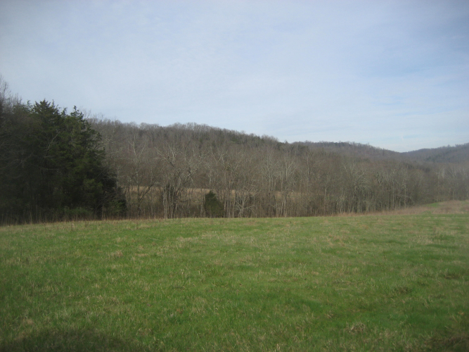 Listing Image 16