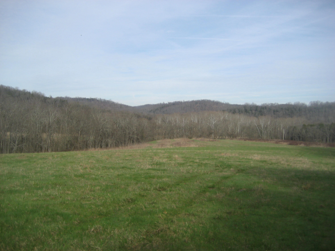 Listing Image 17