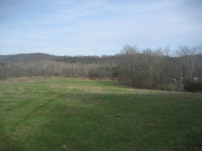 Listing Image 18