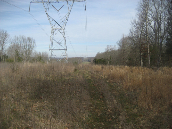 Listing Image 21