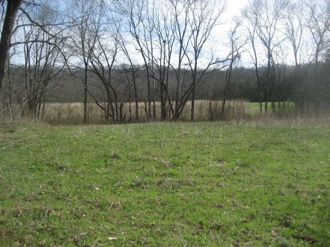 Listing Image 24
