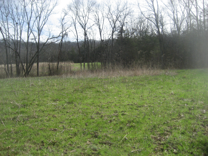 Listing Image 25