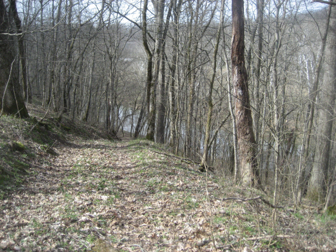 Listing Image 26