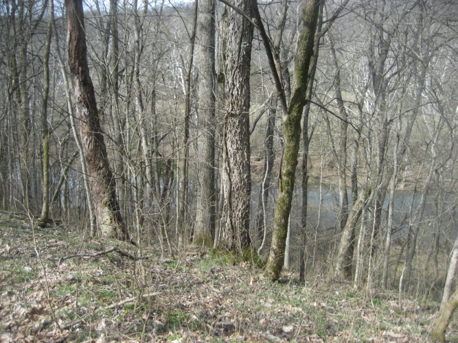 Listing Image 27
