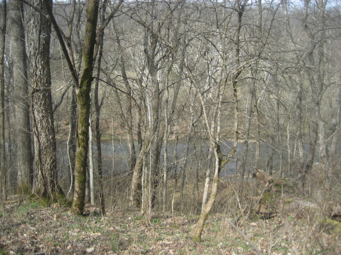 Listing Image 28
