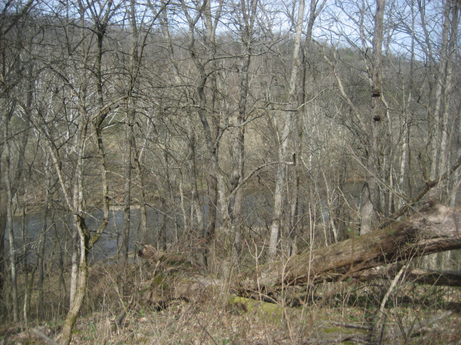 Listing Image 29