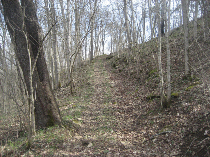 Listing Image 30