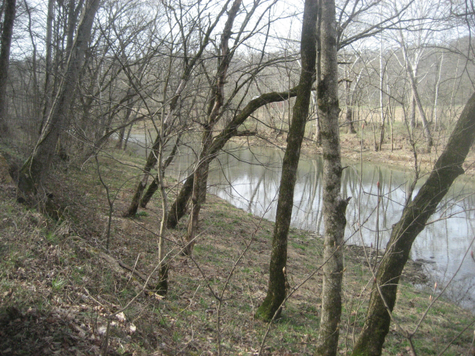 Listing Image 31