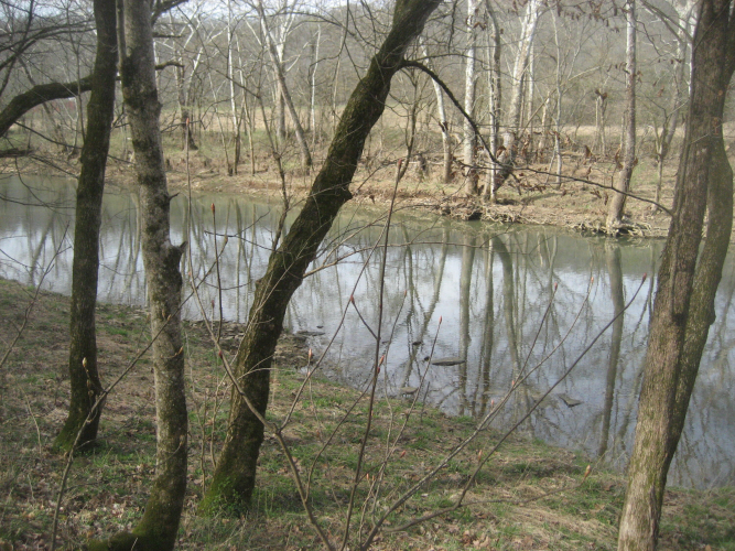 Listing Image 32