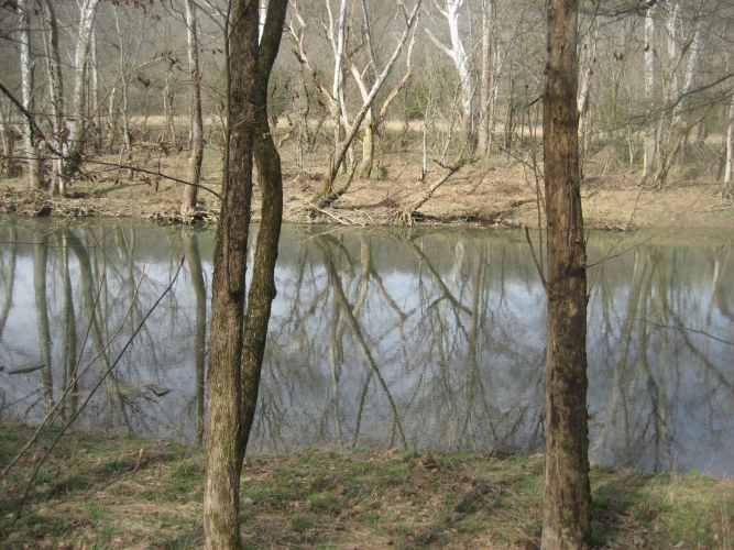 Listing Image 33