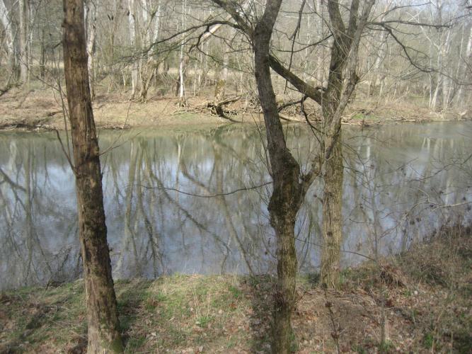 Listing Image 34