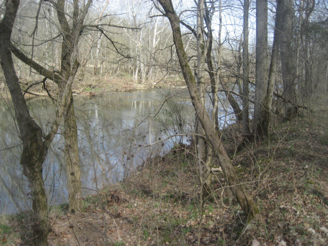 Listing Image 35