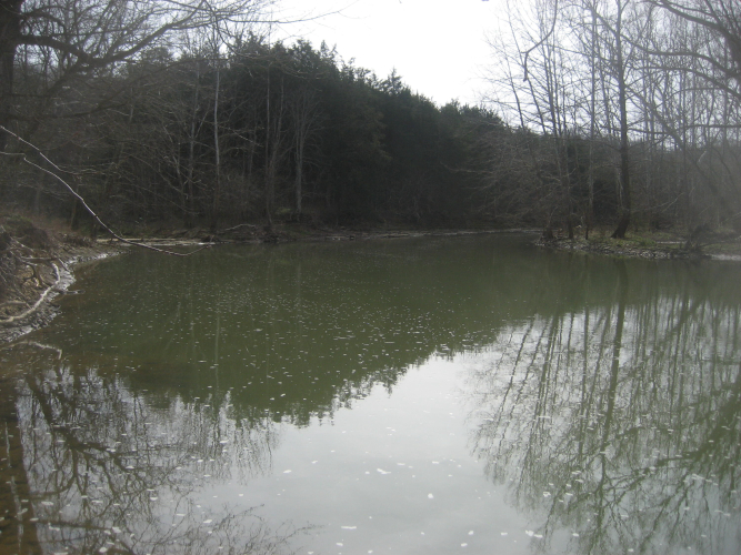 Listing Image 37