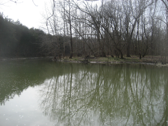 Listing Image 38