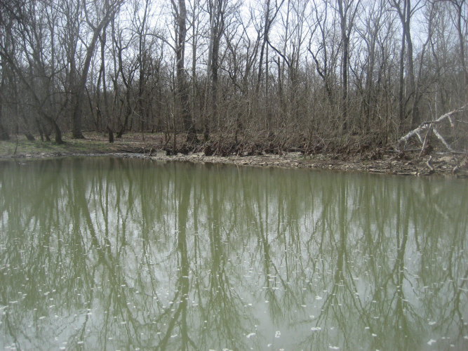 Listing Image 39