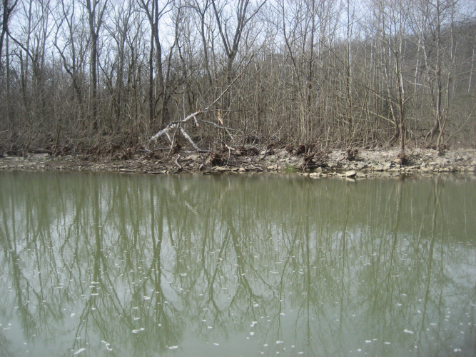 Listing Image 40