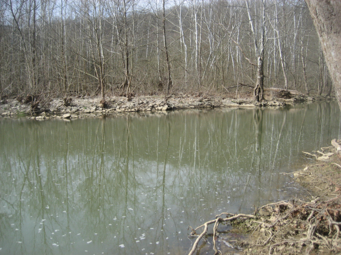 Listing Image 41