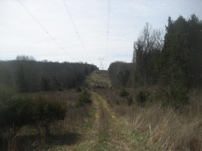 Listing Image 42