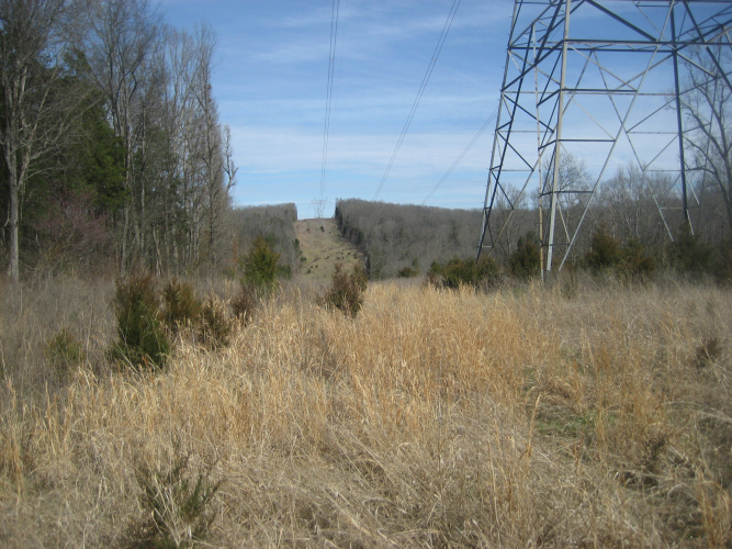 Listing Image 43