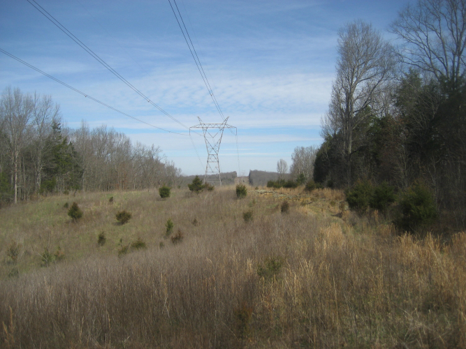 Listing Image 44
