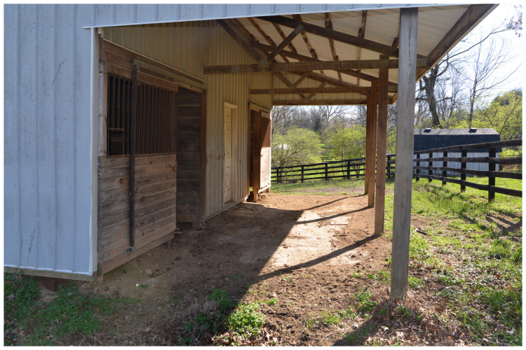 Listing Image 23