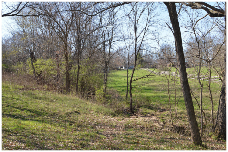 Listing Image 25