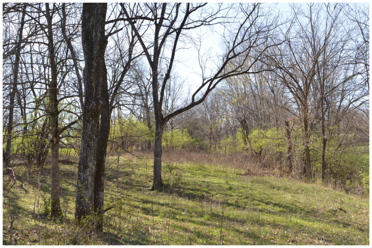 Listing Image 27