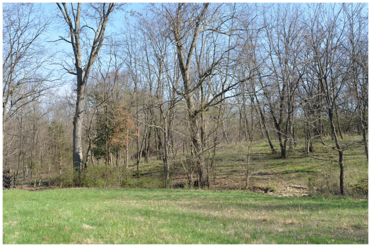 Listing Image 29