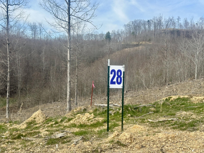 Listing Image 5