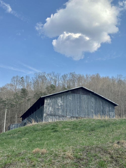 Listing Image 10