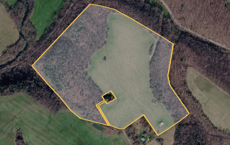 Listing Image 11