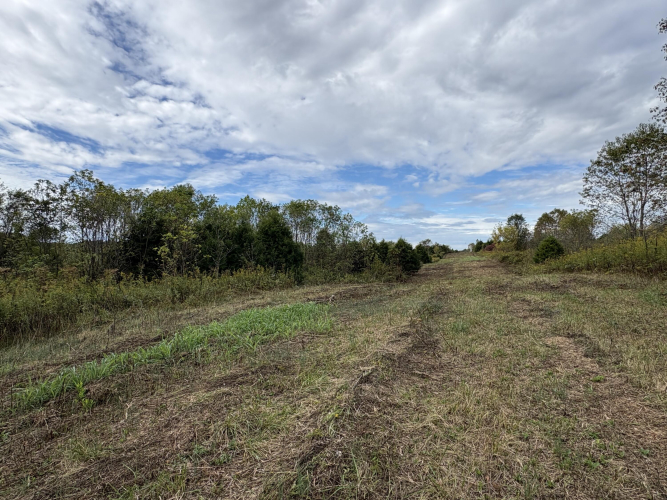 Listing Image 16