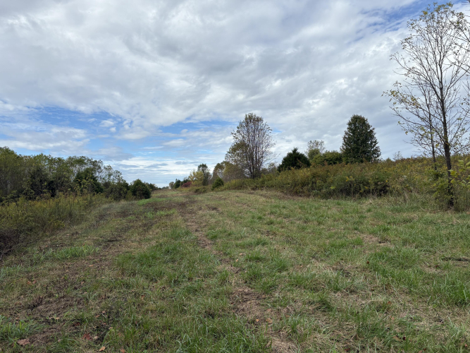 Listing Image 17