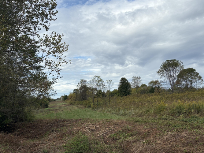 Listing Image 24