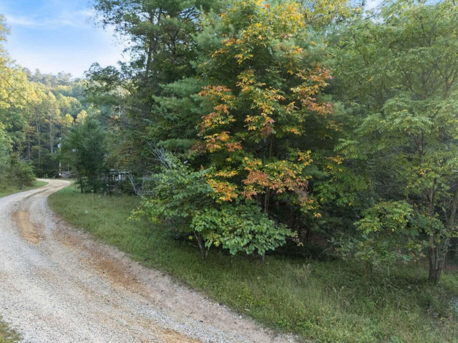 Listing Image 23