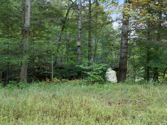 Listing Image 8