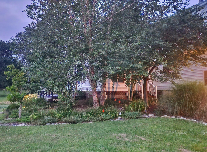 Listing Image 24