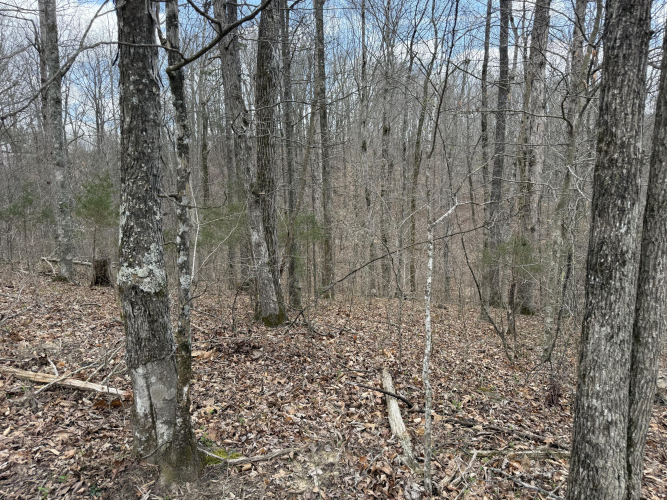 Listing Image 3