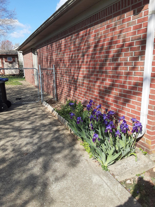 Listing Image 21