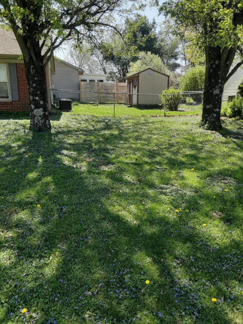 Listing Image 24
